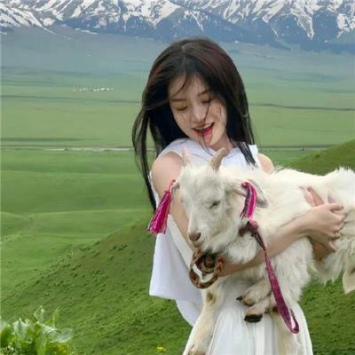 续·社长漫游记